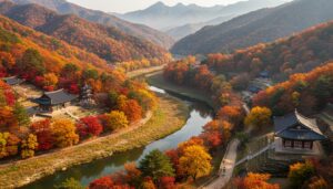 The Ultimate Guide to Korea Autumn Foliage Spots: Where to See the Best Fall Colors